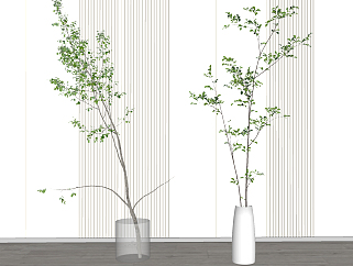 13现代绿植，花瓶，花艺，插花su草图模型下载