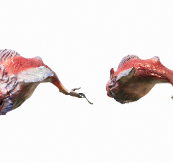 现代变形鲤鱼雕塑su草图模型下载