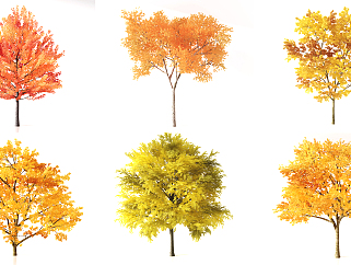 树 秋季树木su草图模型下载