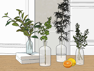 水生植物玻璃花瓶<em>摆件</em>su草图模型下载
