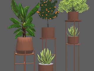 植物架绿植盆栽，阳台绿植架su草图模型下载