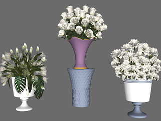 欧式鲜花，花瓶茶花，白玫瑰花su草图模型下载
