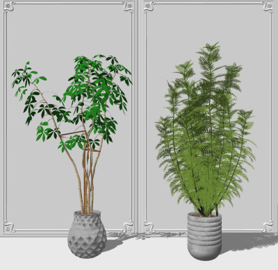 现代植物盆栽组合su草图模型下载