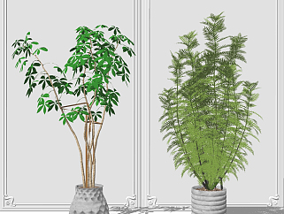 现代植物盆栽组合su草图模型下载
