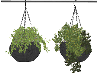 现代<em>悬挂</em>花盆植物盆栽，吊装植物su草图模型下载