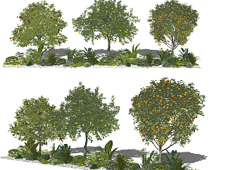 现代果树<em>园艺</em>小品，植物绿植su草图模型下载