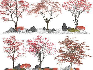 新中式<em>景观</em>树园艺小品树<em>枫叶</em>树，su草图模型下载