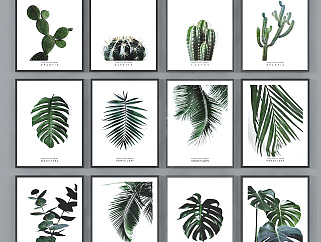 北欧<em>植物</em>树叶装饰画,挂画su草图模型下载