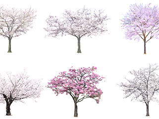 14现代樱花树，<em>梅花树</em>su草图模型下载
