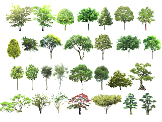 现代景观树,松树<em>柳树</em>松柏树二维模型 su草图模型下载