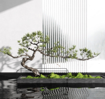 新中式景观绿植,售楼处造景su草图模型下载