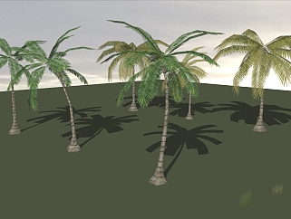 景观植物<em>棕榈</em>科植物热带植物椰子树 1(34)su草图模型...