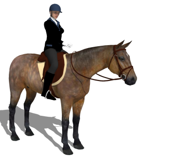 动物马马术人物su草图模型下载