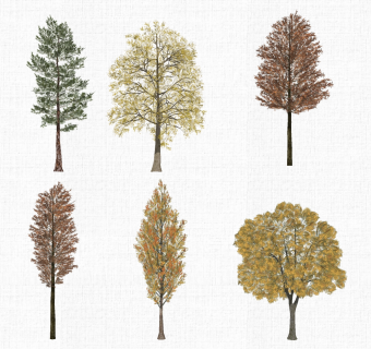 园林景观植物秋天树su草图模型下载