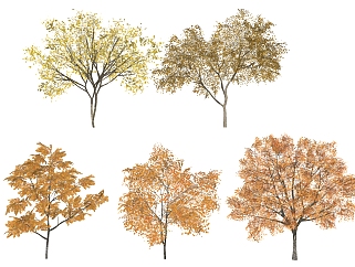 园林景观植物秋天树(5)1su草图模型下载
