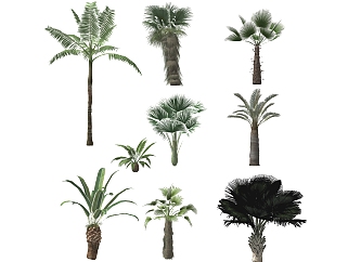 <em>园林</em>景观植物<em>树</em>su草图模型下载