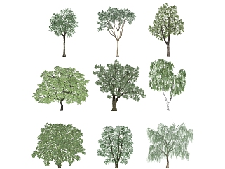 景观树(2)1su草图<em>模型</em>下载