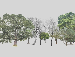 <em>室外</em>园林<em>景观</em>植物2d<em>景观</em>树(4)su草图模型下载