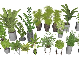 04现代绿植,盆栽,花盆,植物su草图模型下载