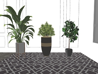 03现代绿植,盆栽,花盆,植物大叶植物花盆su草图模型下载