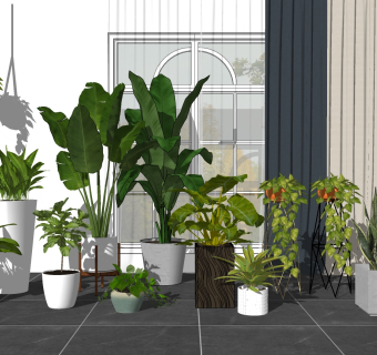 04现代绿植,盆栽,花盆,植物芭蕉叶竹子大叶植物花架吊篮su草图模型下载