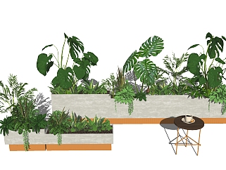 11现代绿植,盆栽,花盆,植物<em>花槽</em>景观植物su草图模型...