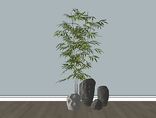16竹子<em>石头植物</em>绿植su草图模型下载
