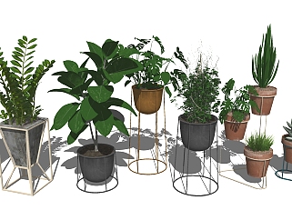 12现代绿植,盆栽,花盆,植物阳台植物花架su草图模型下载