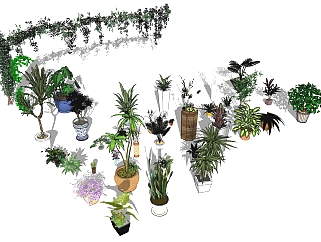 06现代绿植,盆栽,花盆,植物<em>藤蔓植物</em>su草图模型下载