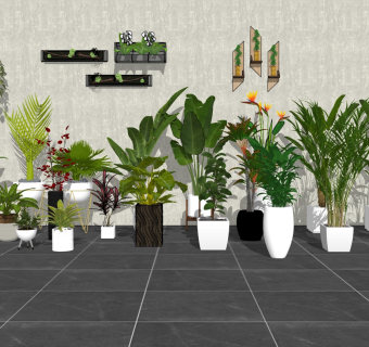 17现代绿植,盆栽,花盆,植物吊篮芭蕉叶散尾葵阳台植物su草图模型下载