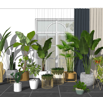 05现代绿植,盆栽,花盆,植物大叶植物花盆花架阳台植物宇航员su草图模型下载