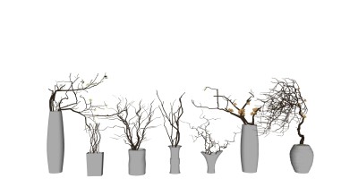 15干枝摆件花盆枯树干支su草图模型下载
