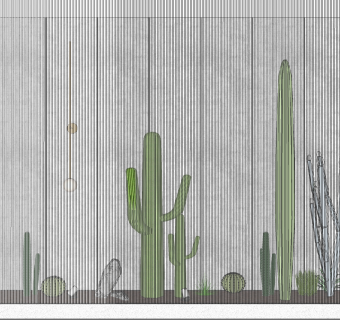 38仙人掌仙人球景观植物su草图模型下载