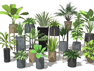 02现代绿植,盆栽,花盆,植物花架阳台植物su草图模型下载