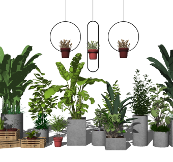 5现代绿植,盆栽,花盆,植物花槽花箱吊装植物su草图模型下载