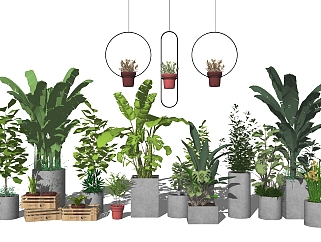 5现代绿植,盆栽,花盆,植物<em>花槽</em>花箱吊装植物su草图模型...