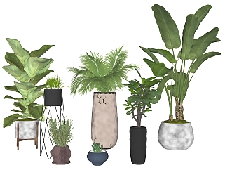 21现代绿植,盆栽,花盆,植物花架su草图模型下载