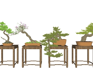 60新中式实木花架,摆台,盆景,迎客松,松树,植物花盆花架中式花格su草图模型下载