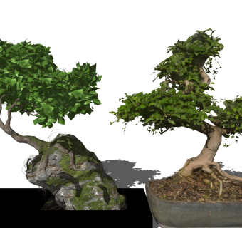 67新中式实木花架,摆台,盆景,迎客松,松树,植物花盆花架中式花格su草图模型下载