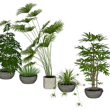 盆栽su草图模型下载