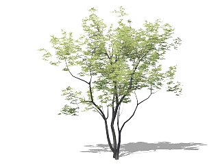 树sketchup草图模型下载su草图模型下载