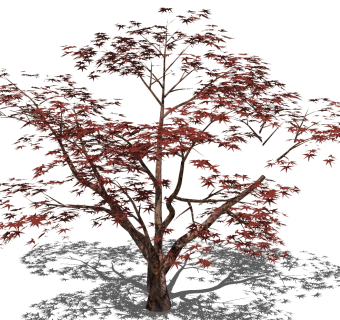 树sketchup草图模型下载su草图模型下载