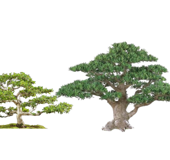 树sketchup草图模型下载su草图模型下载