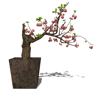 树sketchup草图模型下载su草图模型下载