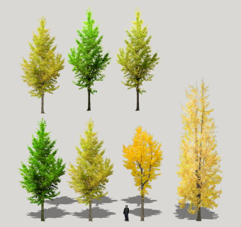 树sketchup草图模型下载su草图模型下载