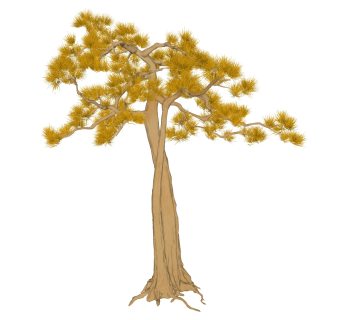 树sketchup草图模型下载su草图模型下载