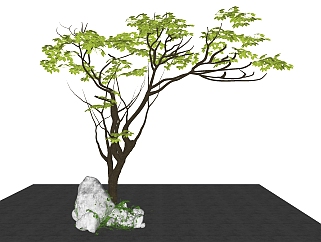 树sketchup草图模型下载 su草图模型下载