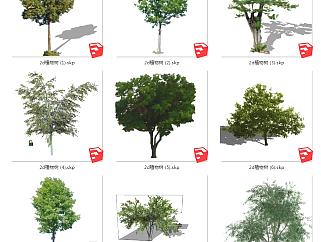 树sketchup草图模型下载su草图模型下载