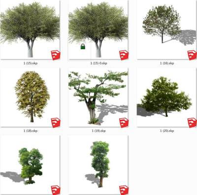 树sketchup草图模型下载su草图模型下载