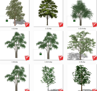 树sketchup草图模型下载su草图模型下载